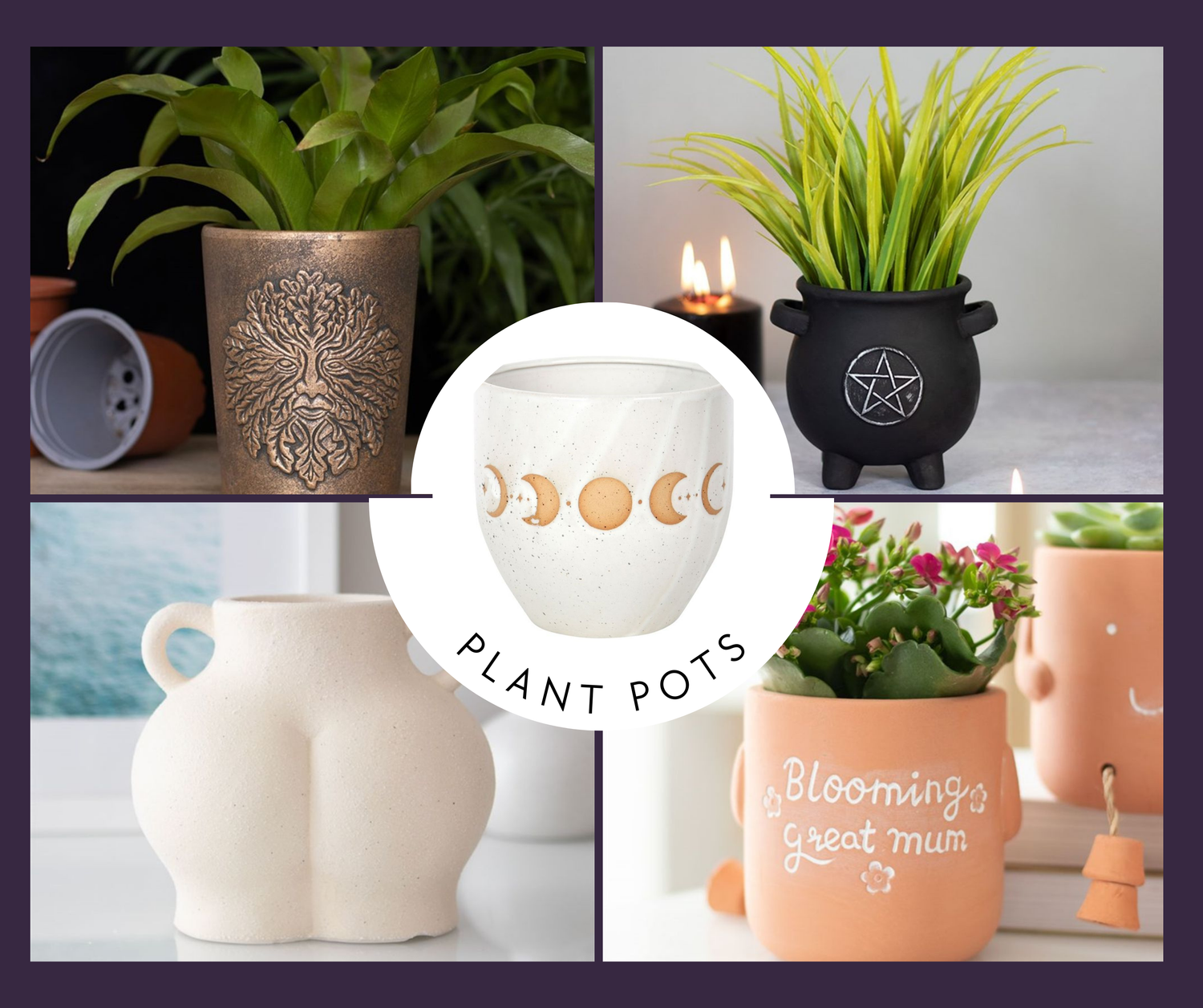 Plant Pots